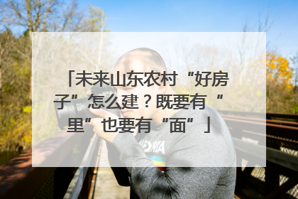未来山东农村“好房子”怎么建？既要有“里”也要有“面”