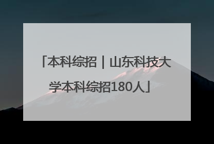 本科综招｜山东科技大学本科综招180人