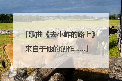 歌曲《去小岞的路上》来自于他的创作……