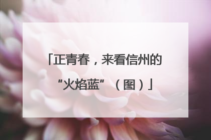 正青春，来看信州的“火焰蓝”（图）