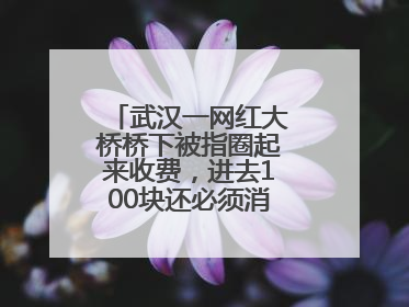 武汉一网红大桥桥下被指圈起来收费，进去100块还必须消费？当地回应
