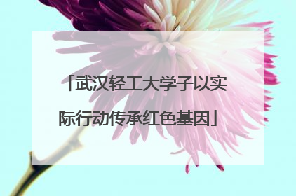 武汉轻工大学子以实际行动传承红色基因