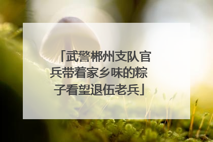 武警郴州支队官兵带着家乡味的粽子看望退伍老兵