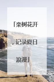 栾树花开，记录夏日浪漫