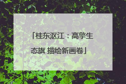 桂东沤江：高擎生态旗 描绘新画卷