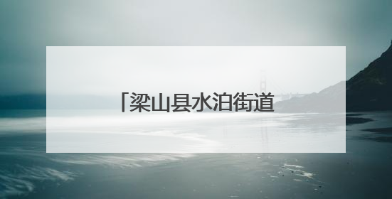 梁山县水泊街道为民服务中心开展惠民政策宣传