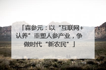 森参元：以“互联网+认养”重塑人参产业，争做时代“新农民”