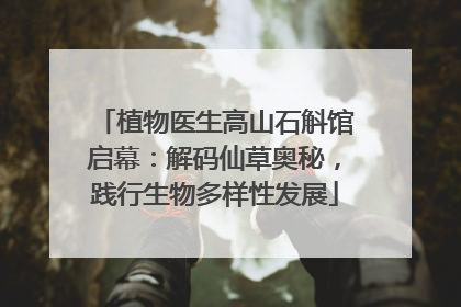 植物医生高山石斛馆启幕：解码仙草奥秘，践行生物多样性发展