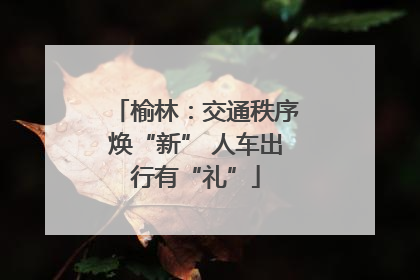 榆林：交通秩序焕“新” 人车出行有“礼”