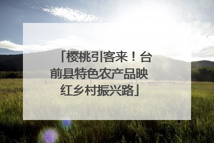 樱桃引客来！台前县特色农产品映红乡村振兴路