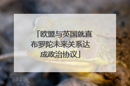 欧盟与英国就直布罗陀未来关系达成政治协议