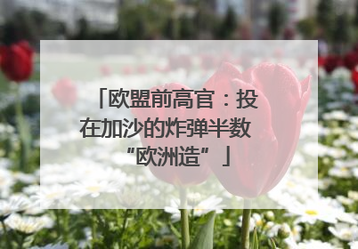 欧盟前高官：投在加沙的炸弹半数“欧洲造”