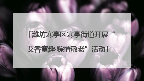 潍坊寒亭区寒亭街道开展“艾香童趣·粽情敬老”活动