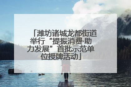 潍坊诸城龙都街道举行“提振消费·助力发展”首批示范单位授牌活动