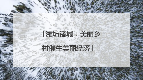 潍坊诸城：美丽乡村催生美丽经济