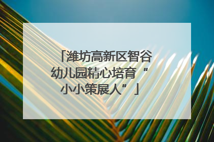 潍坊高新区智谷幼儿园精心培育“小小策展人”