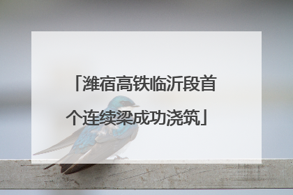 潍宿高铁临沂段首个连续梁成功浇筑