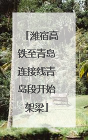 潍宿高铁至青岛连接线青岛段开始架梁