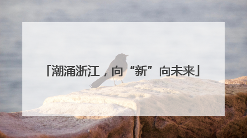 潮涌浙江，向“新”向未来
