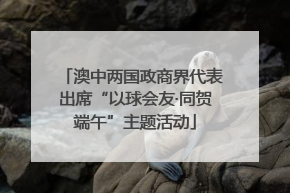 澳中两国政商界代表出席“以球会友·同贺端午”主题活动
