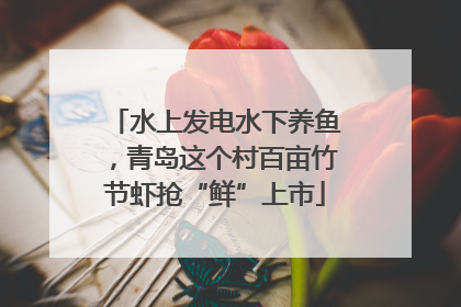 水上发电水下养鱼，青岛这个村百亩竹节虾抢“鲜”上市