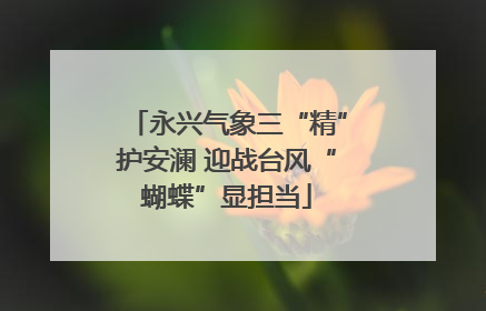 永兴气象三“精”护安澜 迎战台风“蝴蝶”显担当