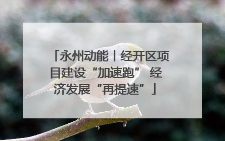 永州动能丨经开区项目建设“加速跑” 经济发展“再提速”