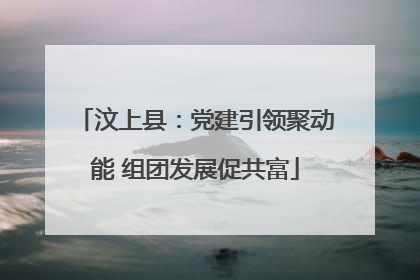 汶上县：党建引领聚动能 组团发展促共富