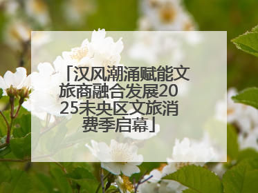 汉风潮涌赋能文旅商融合发展2025未央区文旅消费季启幕