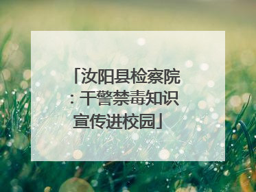 汝阳县检察院：干警禁毒知识宣传进校园