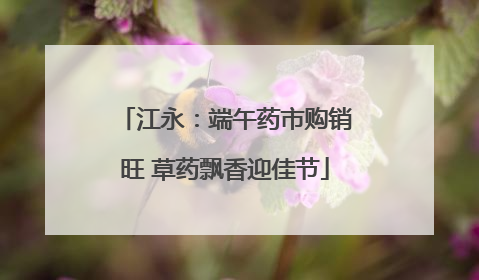 江永：端午药市购销旺 草药飘香迎佳节