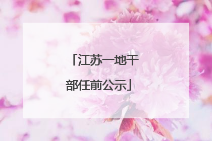江苏一地干部任前公示