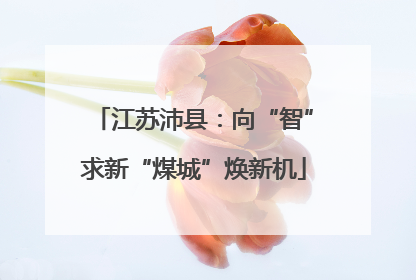 江苏沛县：向“智”求新“煤城”焕新机