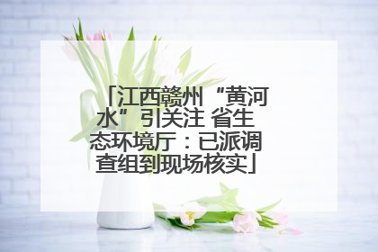 江西赣州“黄河水”引关注 省生态环境厅：已派调查组到现场核实