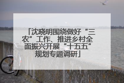 沈晓明围绕做好“三农”工作、推进乡村全面振兴开展“十五五”规划专题调研