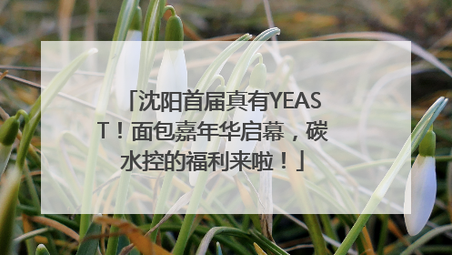 沈阳首届真有YEAST！面包嘉年华启幕，碳水控的福利来啦！
