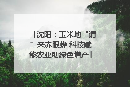 沈阳：玉米地“请”来赤眼蜂 科技赋能农业助绿色增产