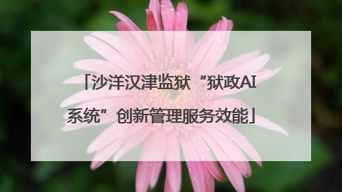 沙洋汉津监狱“狱政AI系统”创新管理服务效能