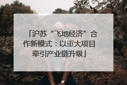 沪苏“飞地经济”合作新模式：以重大项目牵引产业链升级