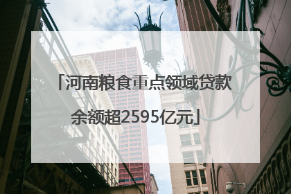 河南粮食重点领域贷款余额超2595亿元