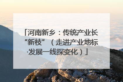 河南新乡：传统产业长“新枝”（走进产业地标·发展一线探变化）