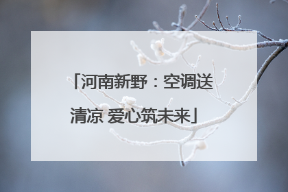 河南新野：空调送清凉 爱心筑未来