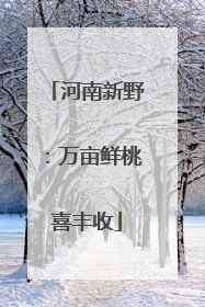 河南新野：万亩鲜桃喜丰收