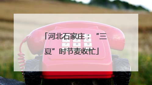 河北石家庄：“三夏”时节麦收忙