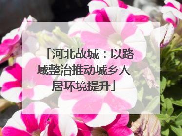 河北故城：以路域整治推动城乡人居环境提升