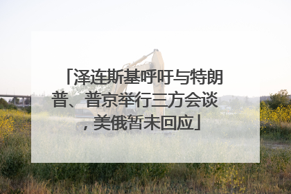 泽连斯基呼吁与特朗普、普京举行三方会谈，美俄暂未回应