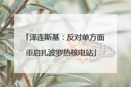 泽连斯基：反对单方面重启扎波罗热核电站