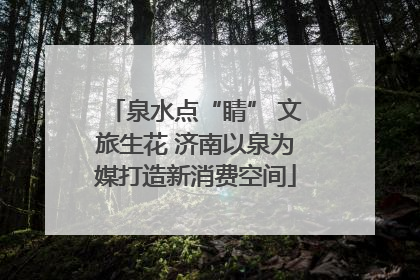 泉水点“睛” 文旅生花 济南以泉为媒打造新消费空间