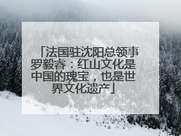 法国驻沈阳总领事罗毅睿：红山文化是中国的瑰宝，也是世界文化遗产
