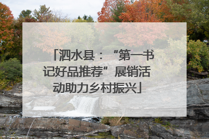 泗水县：“第一书记好品推荐”展销活动助力乡村振兴